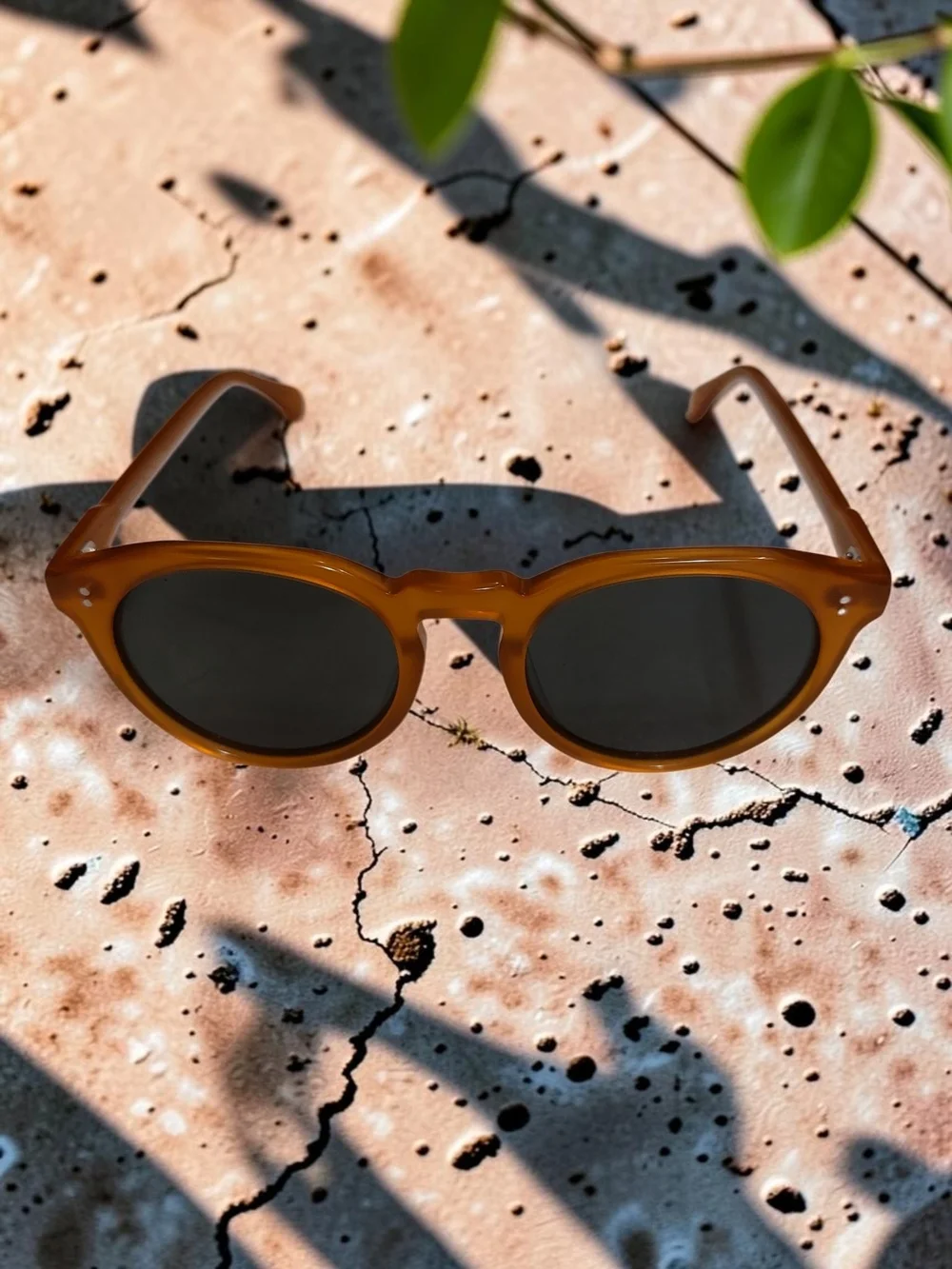 Quince Tahiti Polarized Acetate Sunglasses Honey with Green Lens NIB